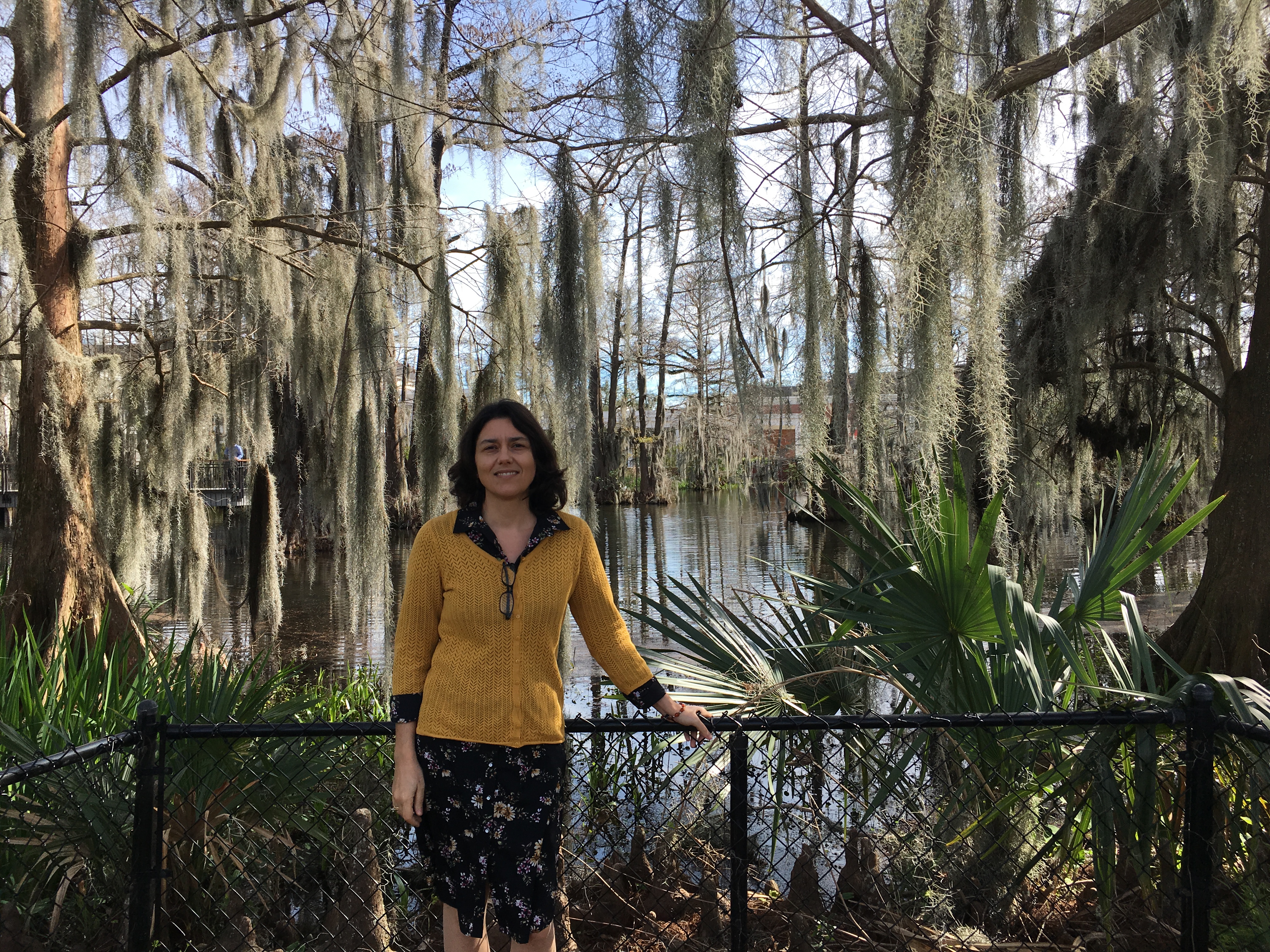 by Cypress Lake, ULL campus